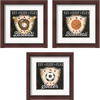 Framed Eat, Sleep, Play 3 Piece Framed Art Print Set