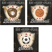 Framed 'Eat, Sleep, Play 3 Piece Art Print Set' border=