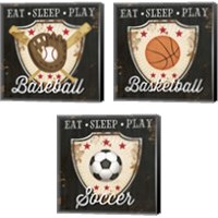 Framed Eat, Sleep, Play 3 Piece Canvas Print Set