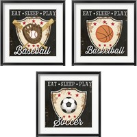 Framed 'Eat, Sleep, Play 3 Piece Framed Art Print Set' border=