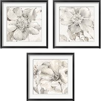 Framed Indigold Gray 3 Piece Framed Art Print Set