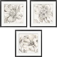 Framed Indigold Gray 3 Piece Framed Art Print Set