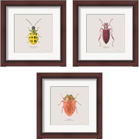 Framed Adorning Coleoptera 3 Piece Framed Art Print Set