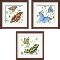 Framed Summertime Butterflies 3 Piece Framed Art Print Set