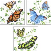 Framed 'Summertime Butterflies 3 Piece Art Print Set' border=