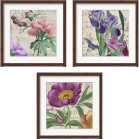 Framed 'Vintage Flowers 3 Piece Framed Art Print Set' border=