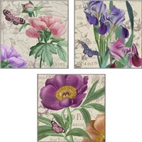 Framed 'Vintage Flowers 3 Piece Art Print Set' border=