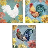 Framed 'Rooster 3 Piece Art Print Set' border=
