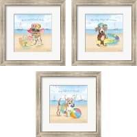 Framed Summer Paws 3 Piece Framed Art Print Set