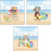 Framed Summer Paws 3 Piece Art Print Set