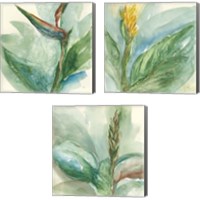 Framed 'Exotic Flower 3 Piece Canvas Print Set' border=