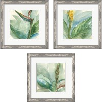 Framed Exotic Flower 3 Piece Framed Art Print Set