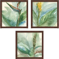 Framed 'Exotic Flower 3 Piece Framed Art Print Set' border=