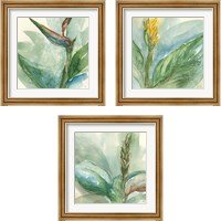 Framed Exotic Flower 3 Piece Framed Art Print Set