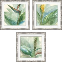 Framed 'Exotic Flower 3 Piece Framed Art Print Set' border=