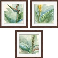 Framed Exotic Flower 3 Piece Framed Art Print Set