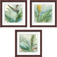 Framed Exotic Flower 3 Piece Framed Art Print Set