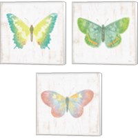 Framed 'White Barn Butterflies 3 Piece Canvas Print Set' border=