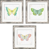 Framed White Barn Butterflies 3 Piece Framed Art Print Set