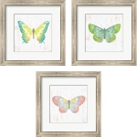 Framed White Barn Butterflies 3 Piece Framed Art Print Set