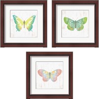 Framed 'White Barn Butterflies 3 Piece Framed Art Print Set' border=