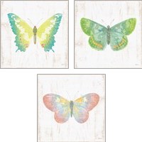 Framed 'White Barn Butterflies 3 Piece Art Print Set' border=