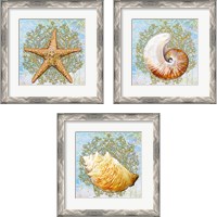 Framed 'Shell Medley 3 Piece Framed Art Print Set' border=