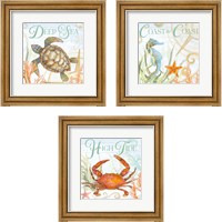 Framed 'Ocean Life 3 Piece Framed Art Print Set' border=