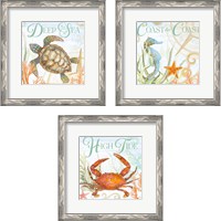 Framed 'Ocean Life 3 Piece Framed Art Print Set' border=