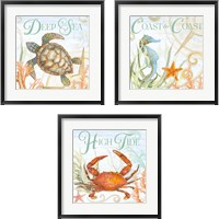 Framed 'Ocean Life 3 Piece Framed Art Print Set' border=