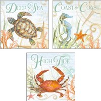 Framed 'Ocean Life 3 Piece Art Print Set' border=