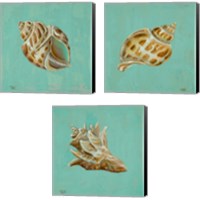 Framed Ocean's Gift 3 Piece Canvas Print Set
