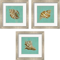 Framed 'Ocean's Gift 3 Piece Framed Art Print Set' border=