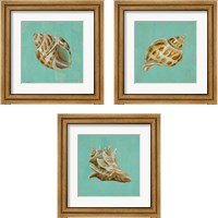 Framed 'Ocean's Gift 3 Piece Framed Art Print Set' border=