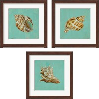 Framed 'Ocean's Gift 3 Piece Framed Art Print Set' border=