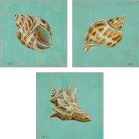 Framed 'Ocean's Gift 3 Piece Art Print Set' border=