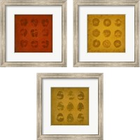 Framed 'All Lined Up Fruits 3 Piece Framed Art Print Set' border=