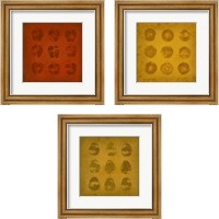 Framed 'All Lined Up Fruits 3 Piece Framed Art Print Set' border=