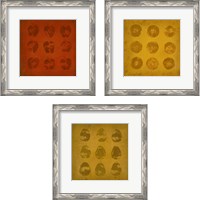 Framed 'All Lined Up Fruits 3 Piece Framed Art Print Set' border=