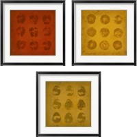 Framed All Lined Up Fruits 3 Piece Framed Art Print Set