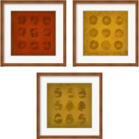 Framed 'All Lined Up Fruits 3 Piece Framed Art Print Set' border=