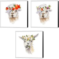 Framed 'Floral Llama 3 Piece Canvas Print Set' border=