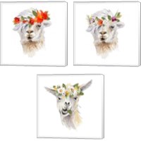 Framed Floral Llama 3 Piece Canvas Print Set
