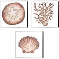 Framed Coastal Icon Coral 3 Piece Canvas Print Set