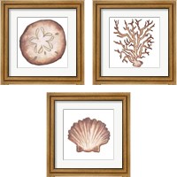 Framed 'Coastal Icon Coral 3 Piece Framed Art Print Set' border=