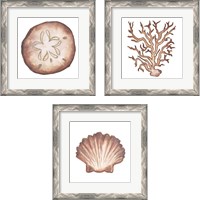 Framed 'Coastal Icon Coral 3 Piece Framed Art Print Set' border=