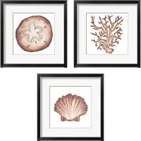 Framed Coastal Icon Coral 3 Piece Framed Art Print Set