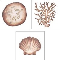 Framed Coastal Icon Coral 3 Piece Art Print Set