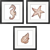 Framed Coastal Icon Coral 3 Piece Framed Art Print Set