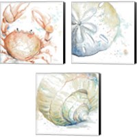 Framed Water Sea Life 3 Piece Canvas Print Set